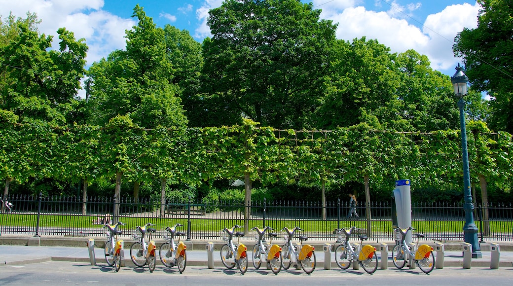 Parc de Bruxelles joka esittää pyöräily ja puutarha