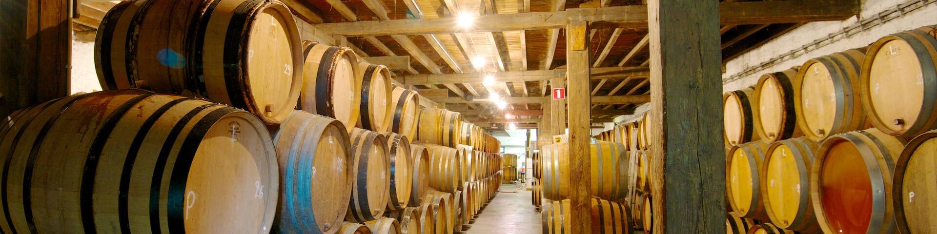 Cantillon Brewery featuring interior views