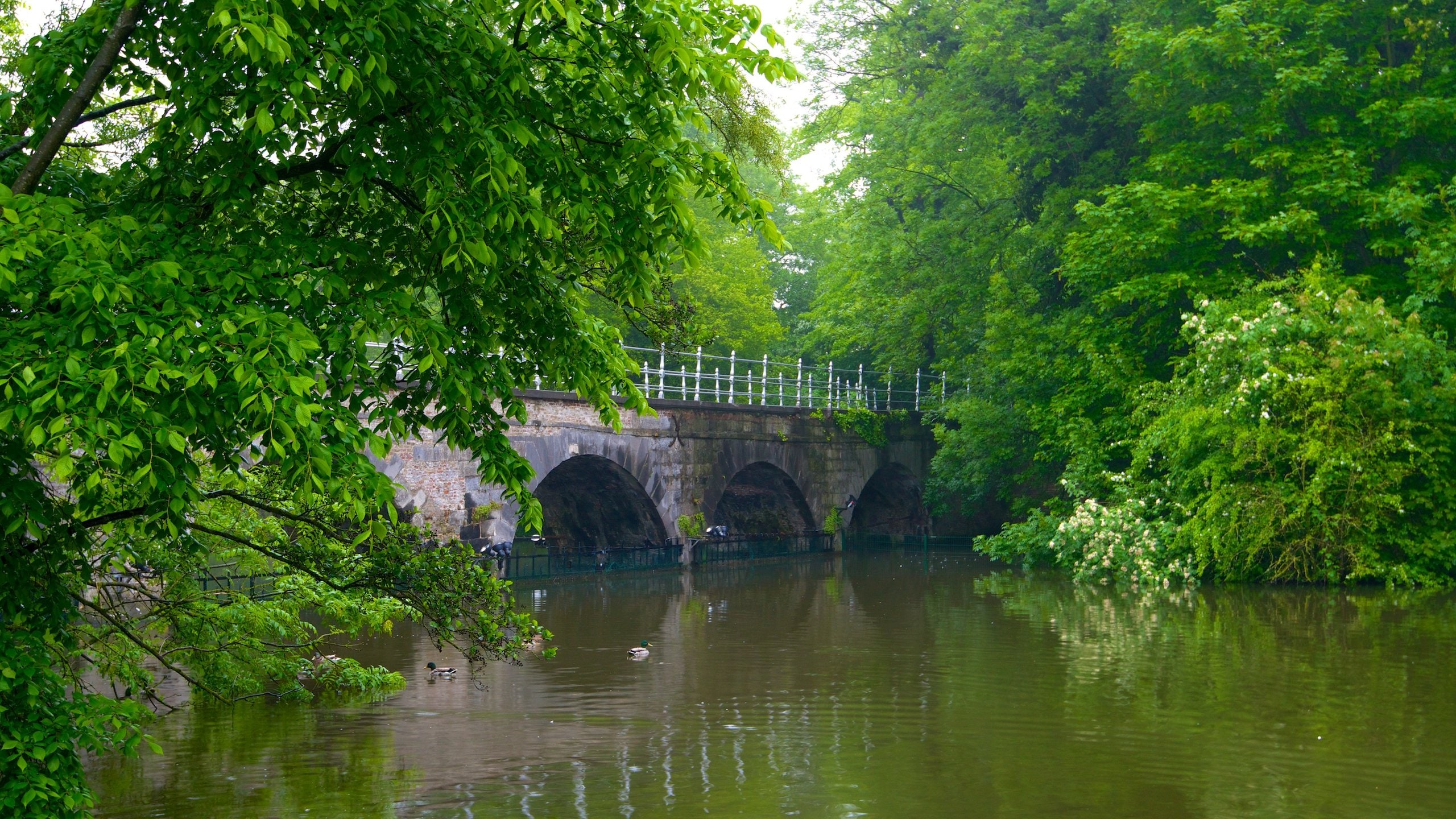 Minnewater trong đó bao gồm cầu và hồ nước