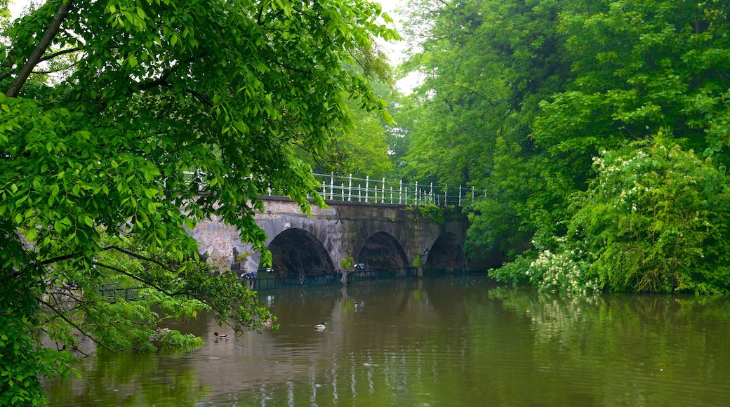 Minnewater johon kuuluu järvi tai vesikuoppa ja silta