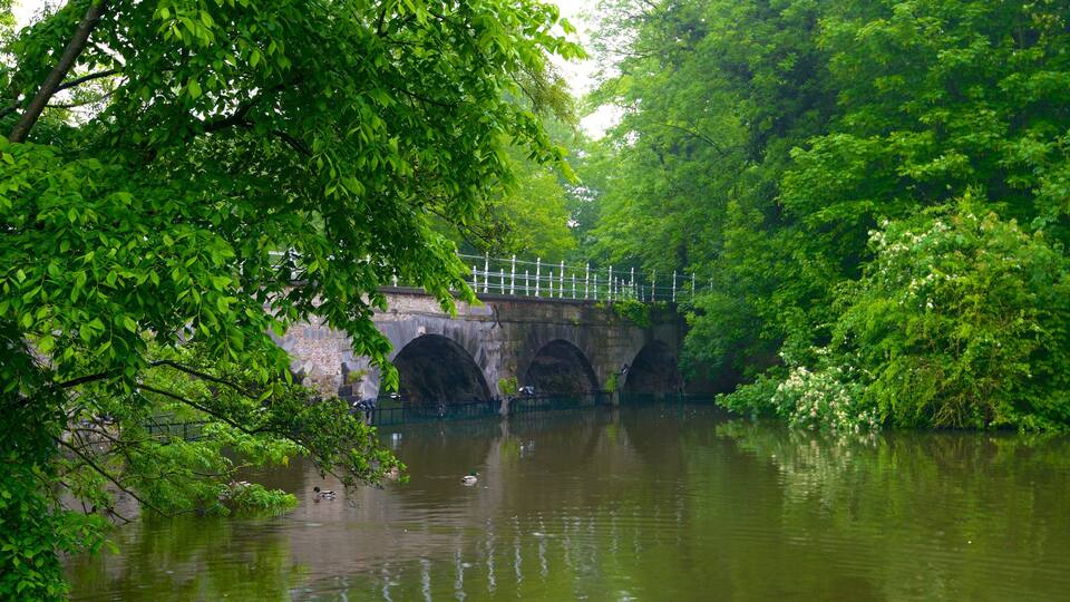 Minnewater bevat een meer of poel en een brug