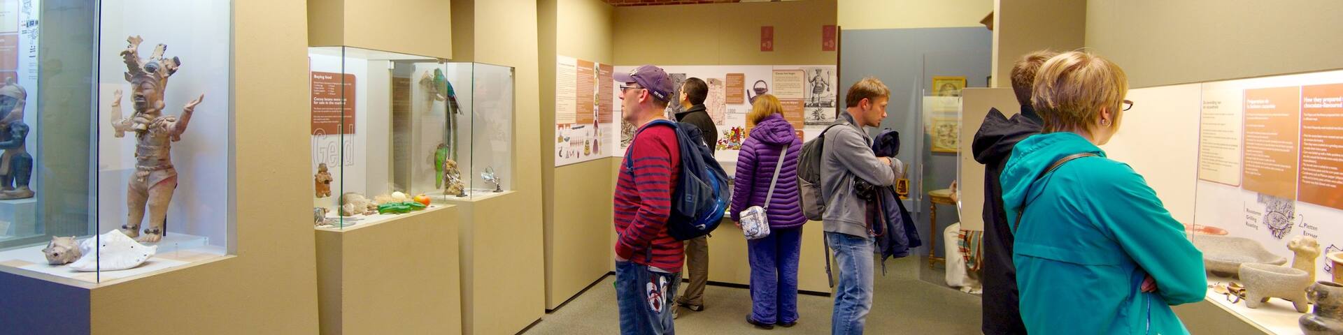 Choco-Story Museum which includes interior views as well as a small group of people