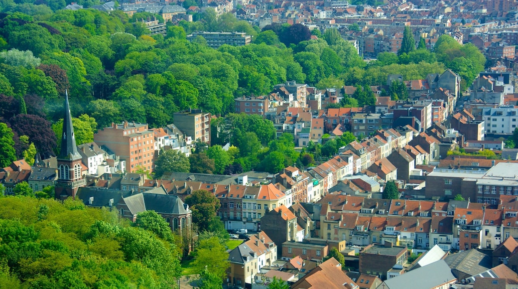 Brussels featuring a city