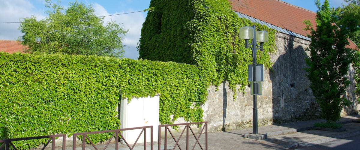 Roissy-en-France mostrando una pequeña ciudad o pueblo y una casa