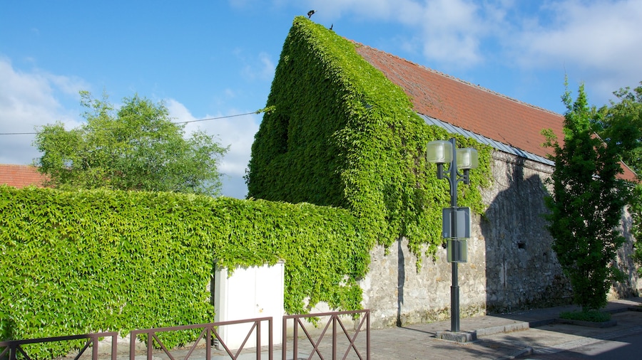 Roissy-en-France showing a small town or village and a house