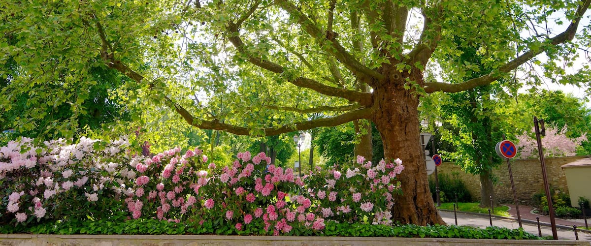 Roissy-en-France mettant en vedette jardin et fleurs