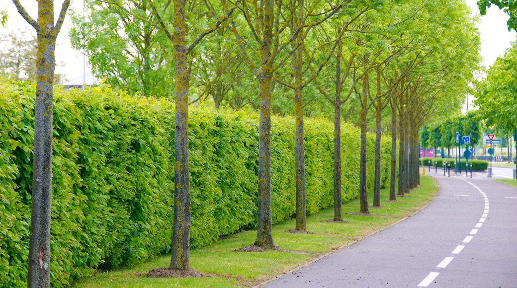 Magny-le-Hongre das einen Straßenszenen