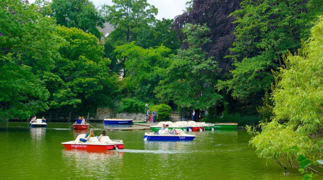 Palmengarten showing a lake or waterhole, boating and tropical scenes