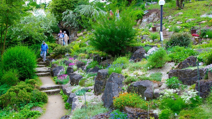 Palmengarten featuring flowers and a garden