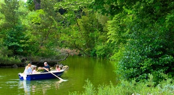 Jardines Palmengarten mostrando un río o arroyo, embarcaciones y un parque