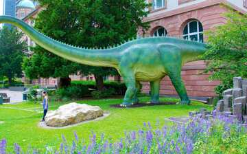 ゼンケンベルク博物館 フランクフルト エクスペディア ゼンケンベルク博物館 フランクフルト エクスペディア