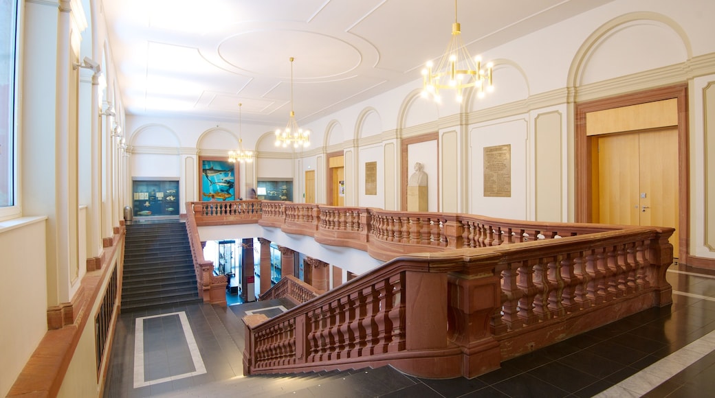 Senckenberg Museum featuring interior views