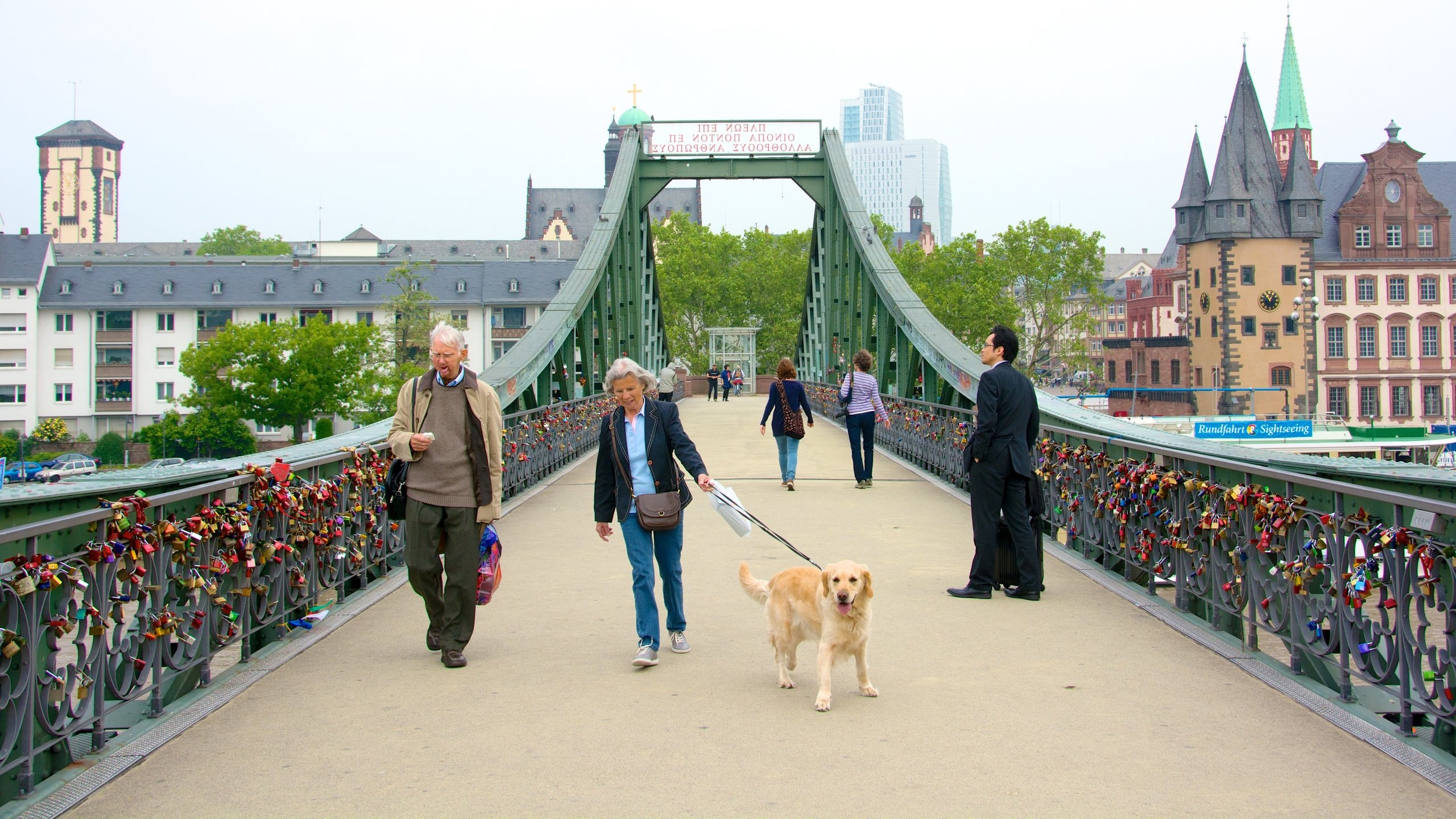 Fráncfort mostrando una ciudad, un puente y escenas urbanas