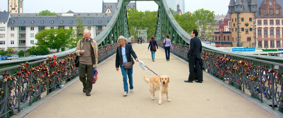 Francfort-sur-le-Main montrant ville, scènes de rue et pont