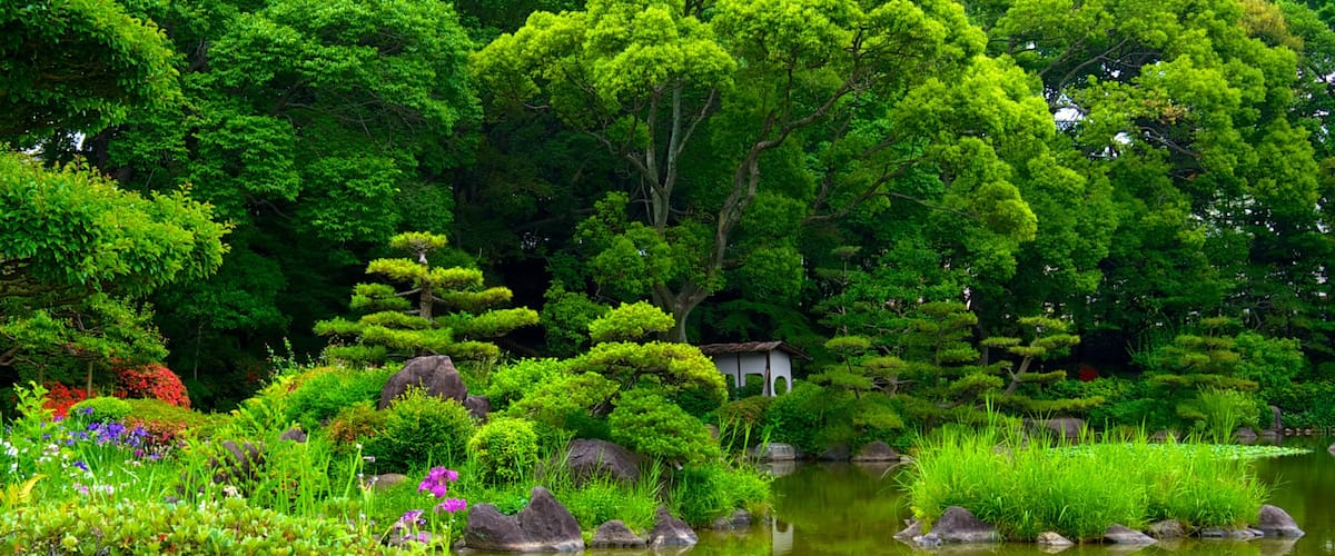 Parque Tennoji mostrando un estanque, flores y un jardín
