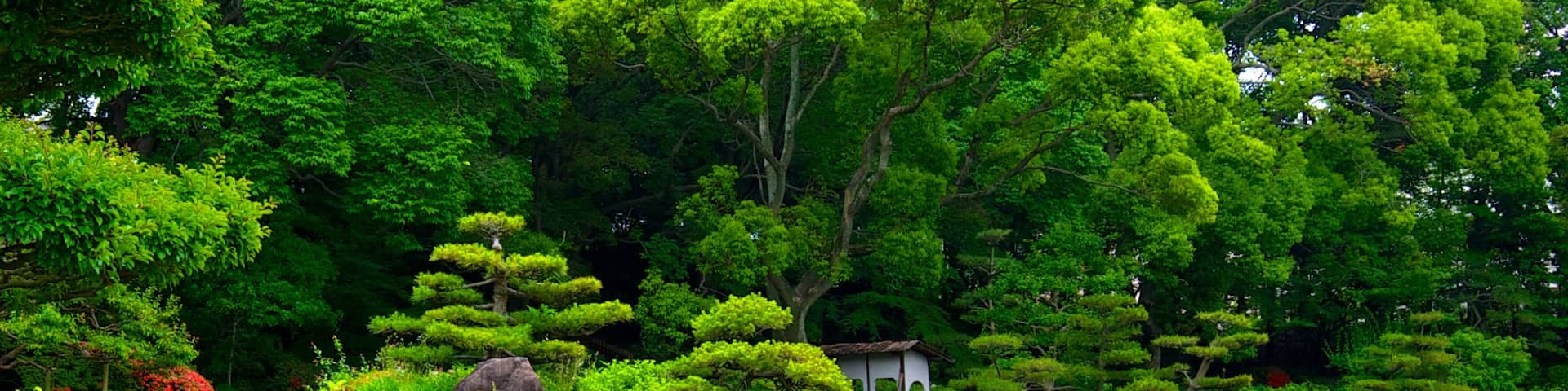Tennoji Park featuring a garden, a pond and flowers