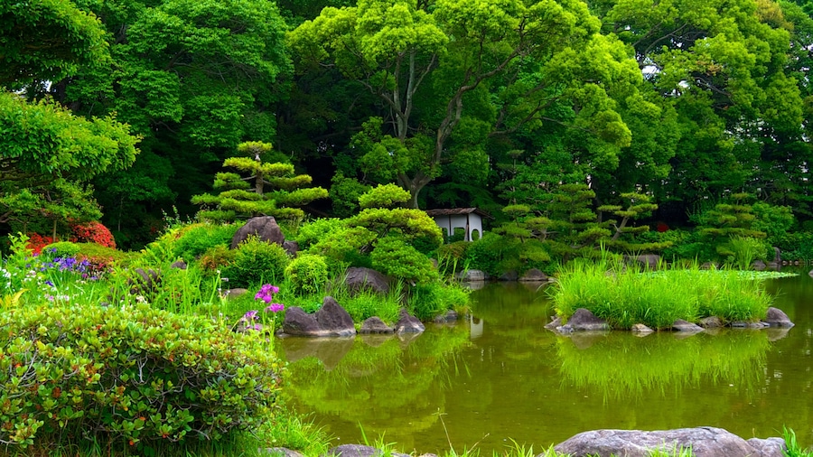 Parque Tennoji que incluye un parque, flores y un estanque