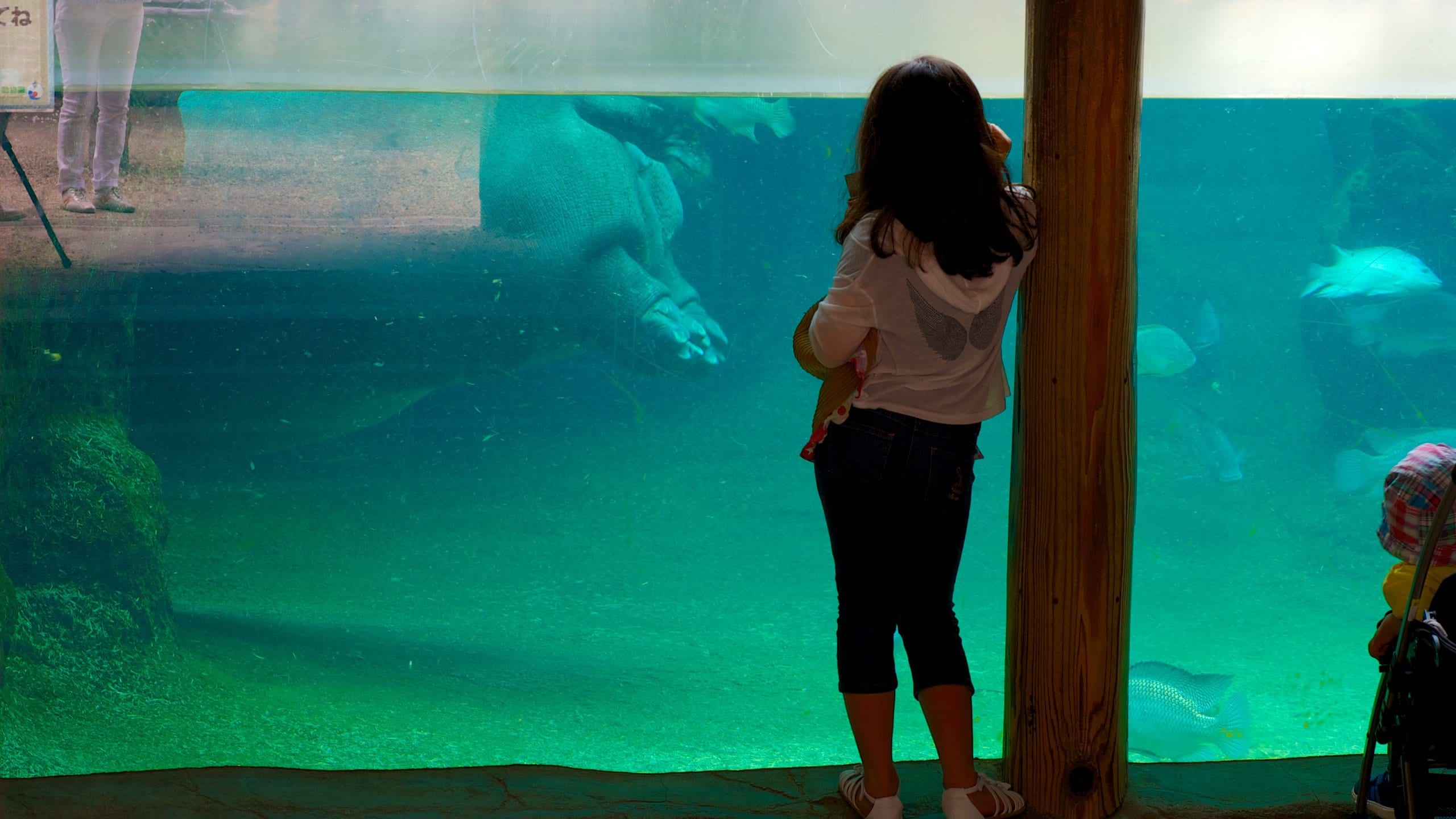 Tennoji Zoo featuring zoo animals, marine life and interior views