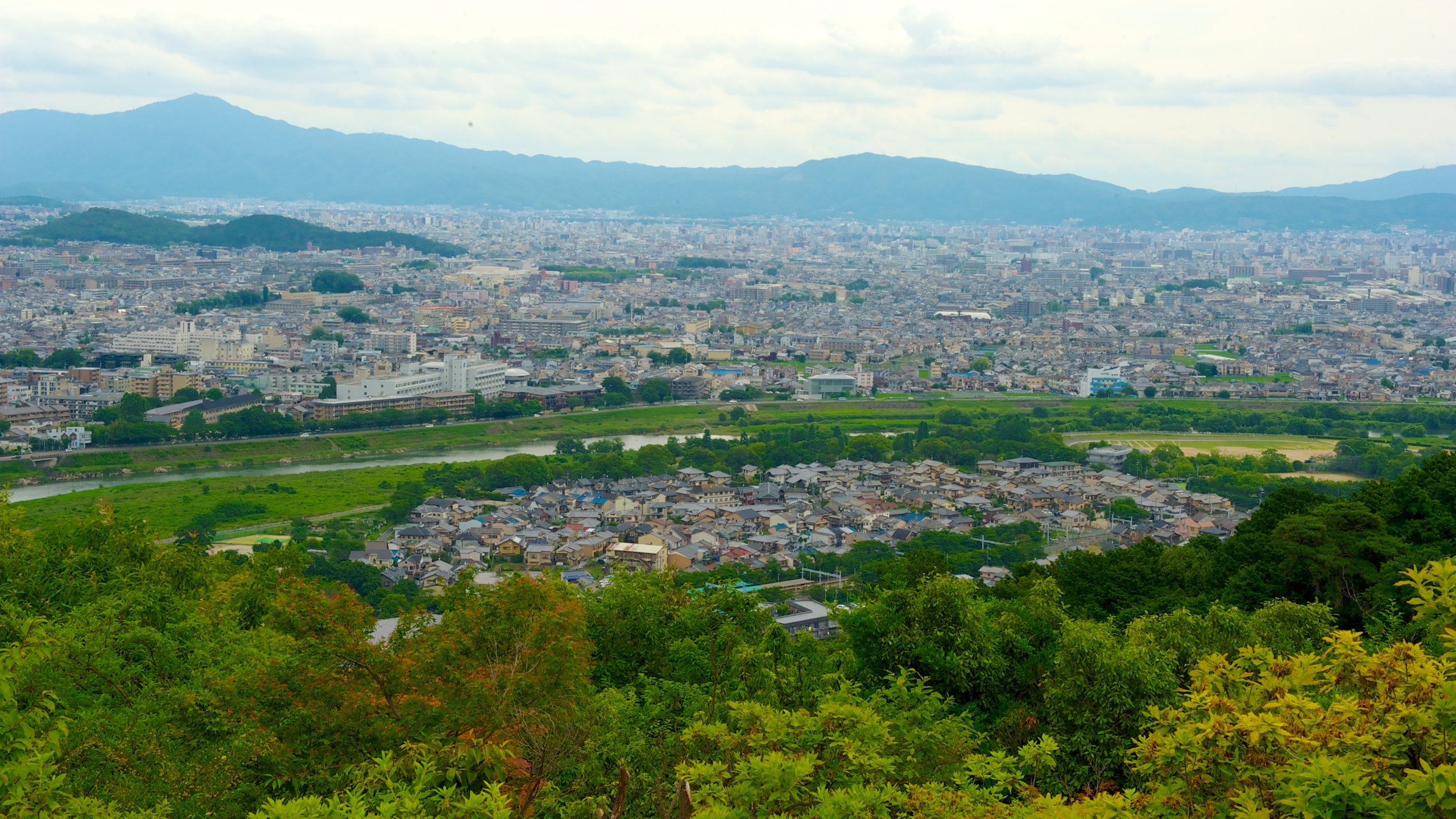 Iwatayama Monkey Park - Arashiyama, Kyoto - Japan Travel