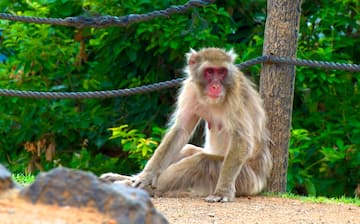 22 京都西京自由行 有咩玩同必買 Nishikyo Ward 景點玩樂介紹 Expedia Com Hk 22 京都西京自由行 有咩玩同必買 Nishikyo Ward 景點玩樂介紹 Expedia Com Hk