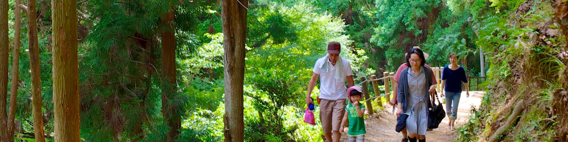Arashiyama Monkey Park featuring hiking or walking and forest scenes as well as a family