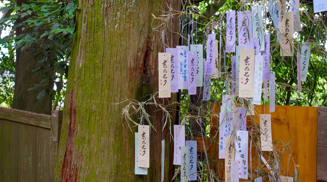 Parco delle scimmie di Arashiyama che include giardino