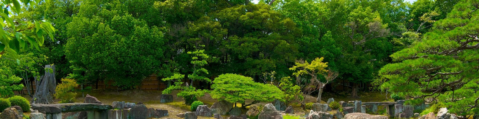 Nijo Castle showing a park and a pond