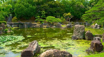 Nijo Castle showing a park and a pond