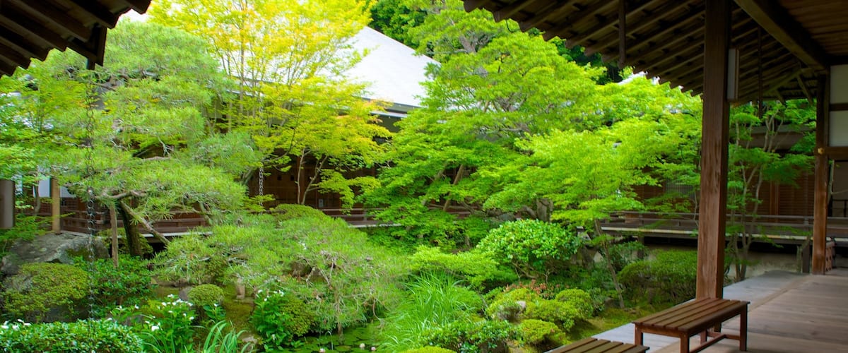 Eikando Temple which includes religious elements, a temple or place of worship and a park