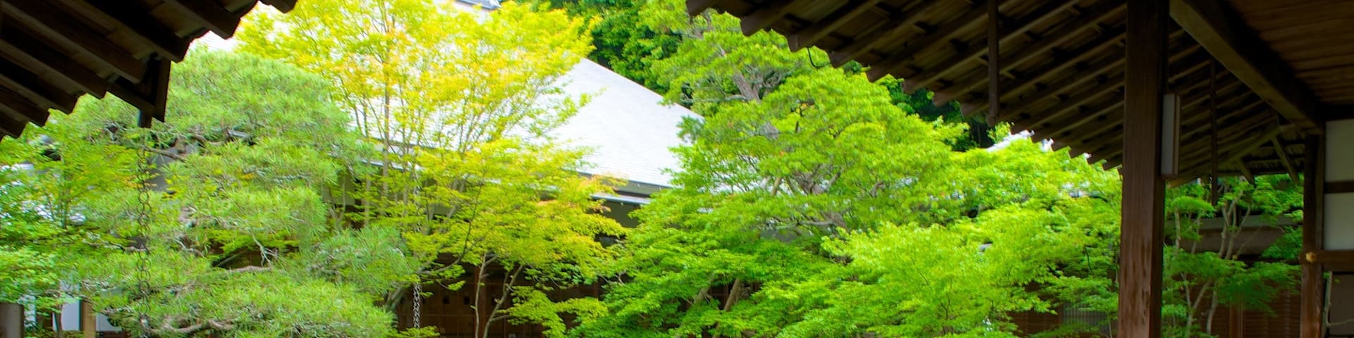 Eikando Temple showing a garden, religious aspects and a temple or place of worship