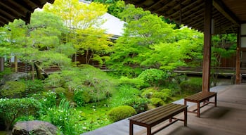 Eikando Temple featuring religious aspects, a garden and a temple or place of worship