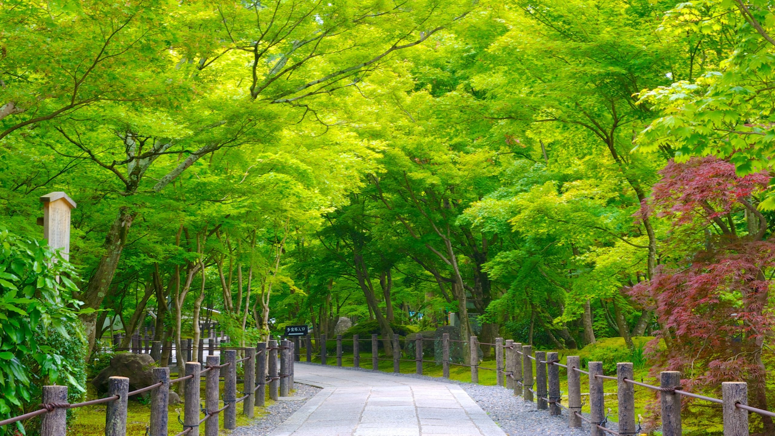 Eikando Temple which includes a garden