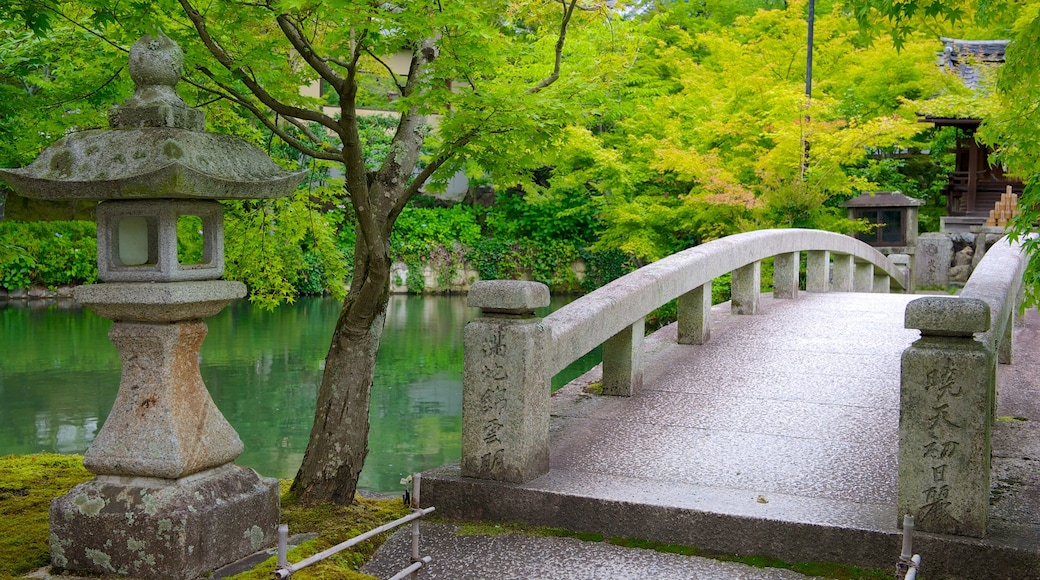 Eikando Temple which includes a pond, a temple or place of worship and a garden