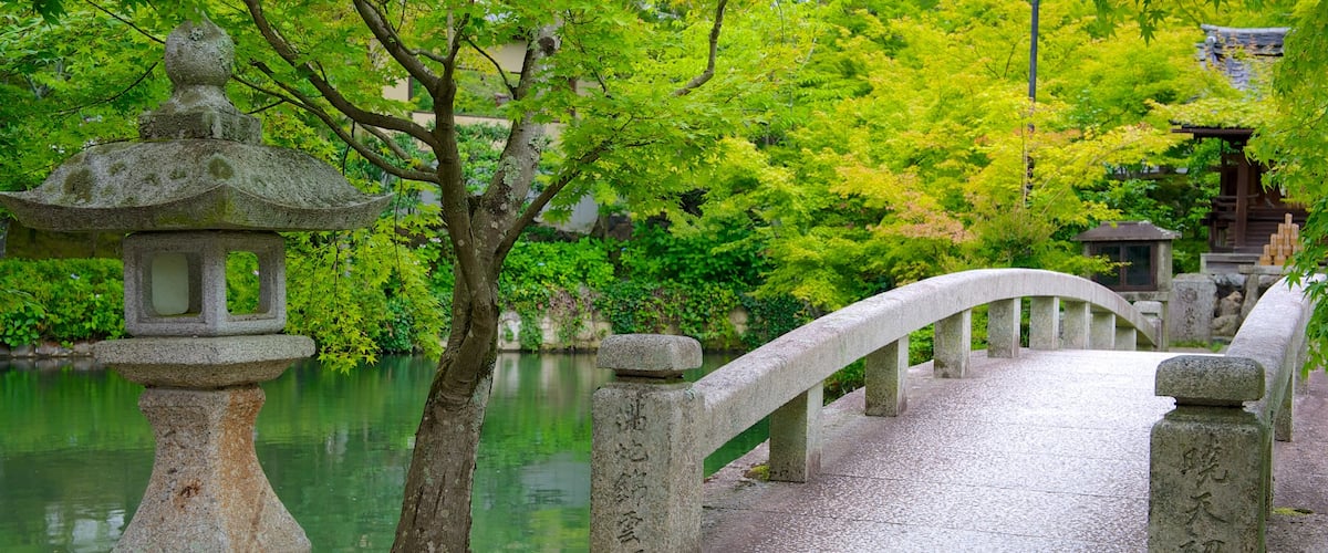 Eikando Temple showing a pond, a bridge and a park