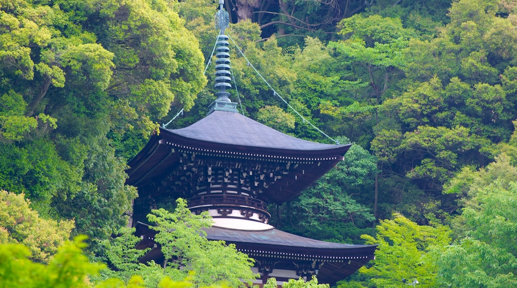 Eikando Temple featuring forests, a temple or place of worship and heritage architecture
