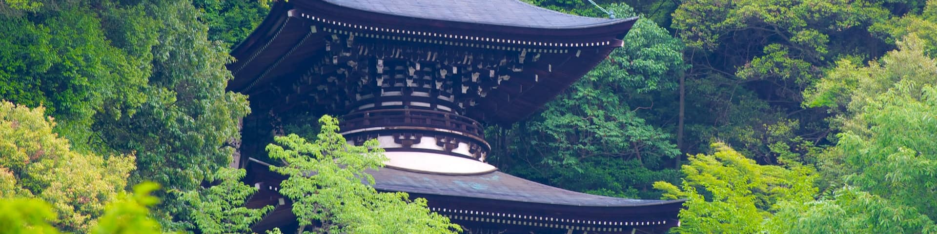 Eikando Temple featuring forests, a temple or place of worship and heritage architecture