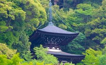 永観堂禅林寺 京都 エクスペディア 永観堂禅林寺 京都 エクスペディア