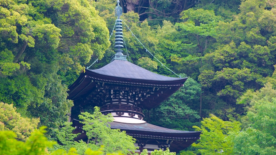 Eikando Temple which includes forests, religious elements and heritage architecture