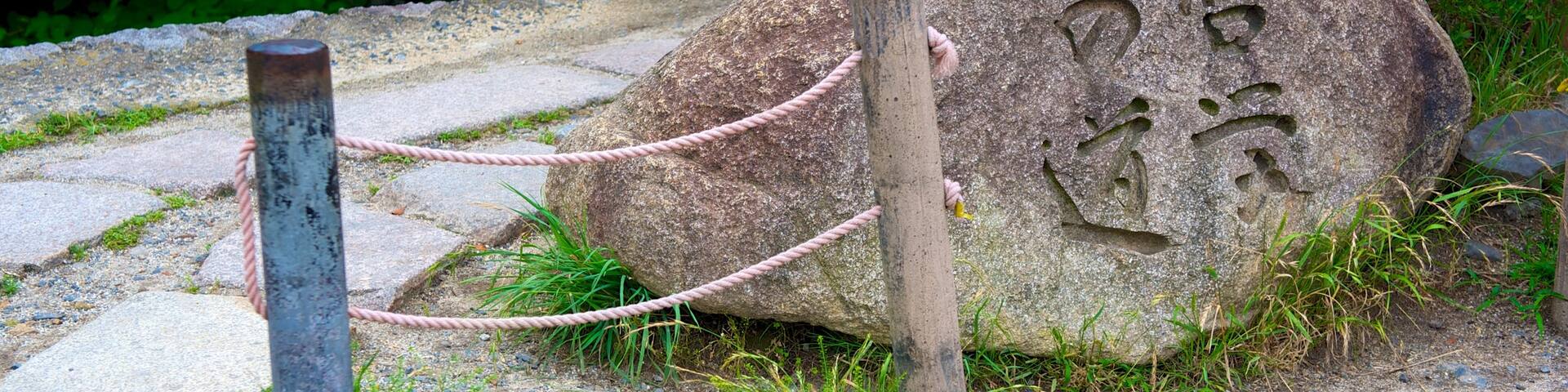 Philosopher\'s Walk featuring a park and signage