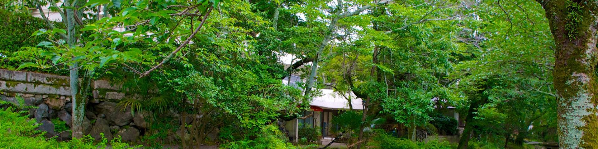 Philosopher\\\'s Walk showing a garden