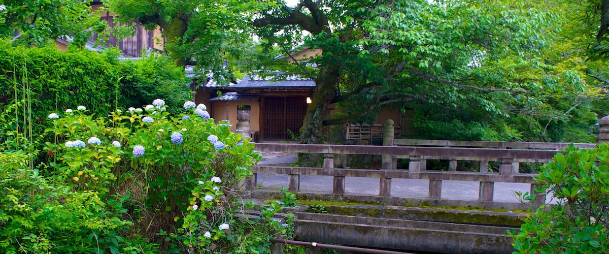 哲學之道 呈现出 野花, 花園 和 橋樑