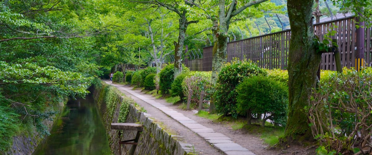 哲學之道 设有 公園 和 河流或小溪