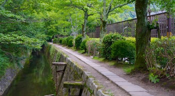 哲學之道 设有 公園 和 河流或小溪