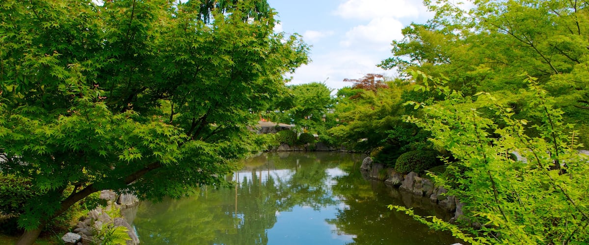 Toji Temple showing a garden, religious aspects and a pond