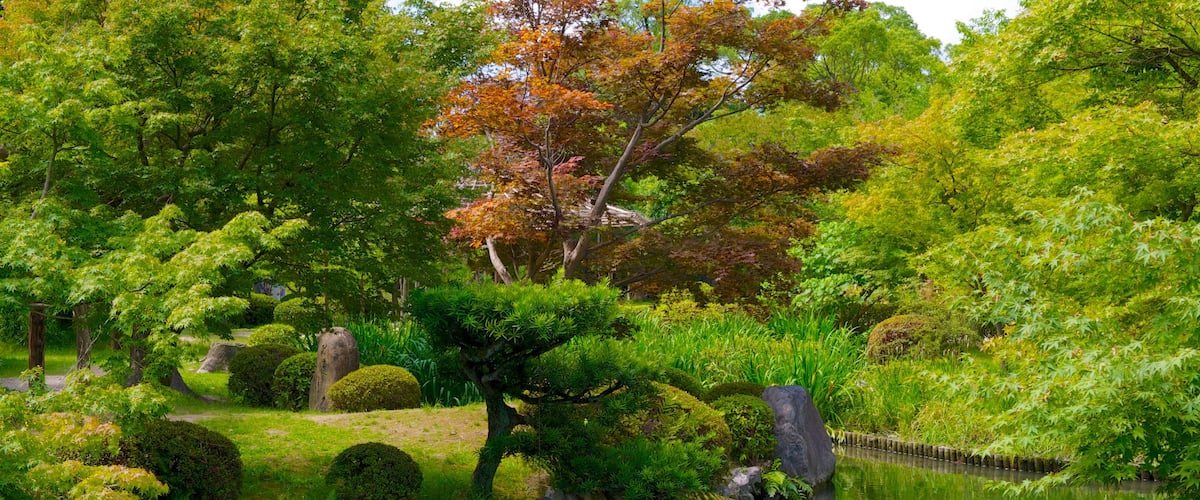 Toji Temple which includes a pond and a park