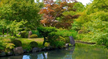 Toji Temple featuring a pond and a park