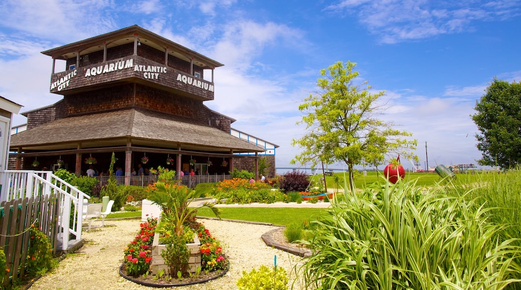 Atlantic City Aquarium showing a park, marine life and flowers