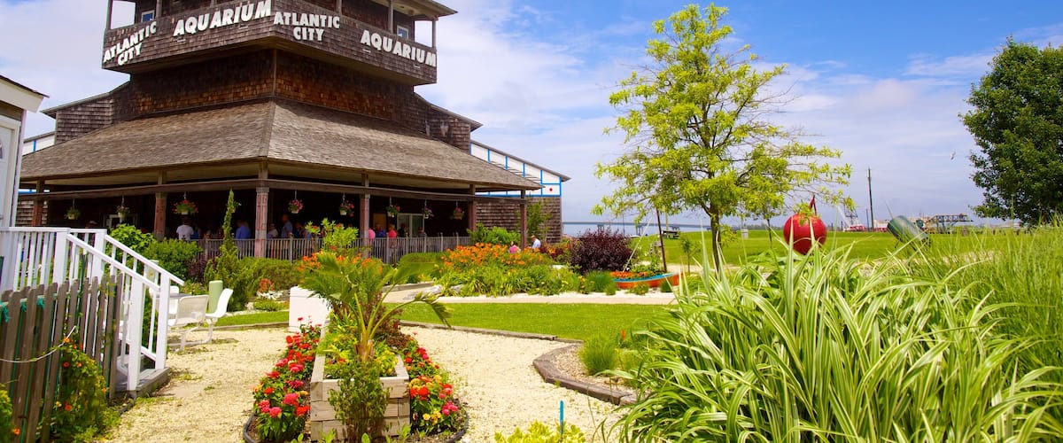 Atlantic City Aquarium which includes a park, marine life and flowers