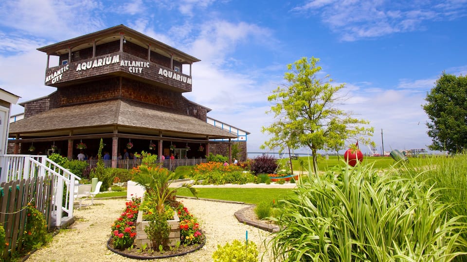 Atlantic City Aquarium mostrando vida marinha, flores e um parque
