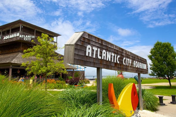 Aquarium d\'Atlantic City qui includes signalisation et vie marine